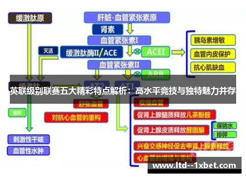 英联级别联赛五大精彩特点解析：高水平竞技与独特魅力并存